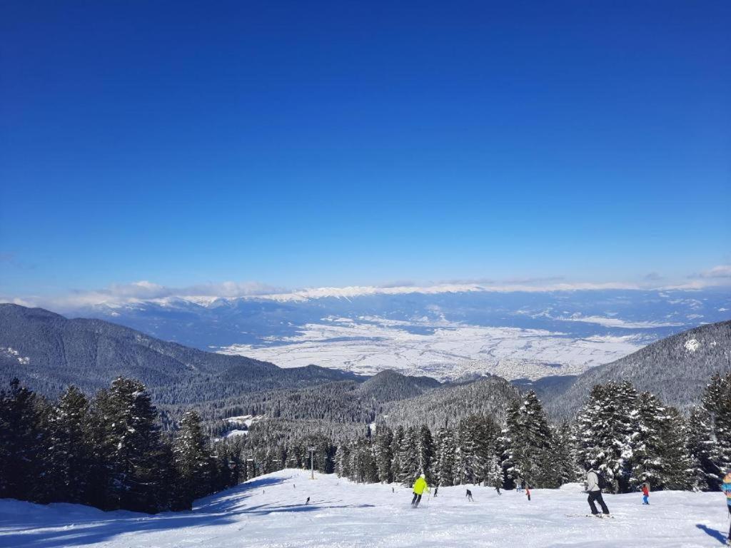 Apartments In Aspen Suites بانسكو الغرفة الصورة